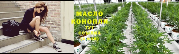 прущие крисы Пересвет