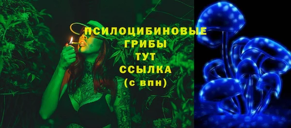 первитин Пестово