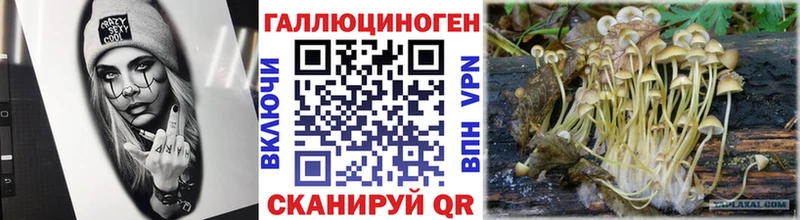Псилоцибиновые грибы мухоморы  купить  цена  Красный Холм 