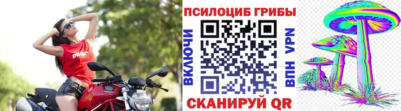 Псилоцибиновые грибы мицелий Красный Холм
