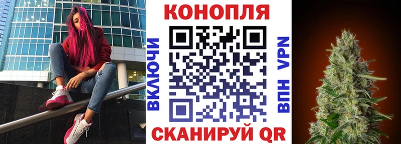 цены Красный Холм Бошки Шишки семена